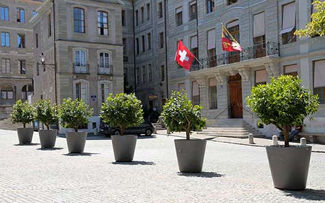 Pots de Fleure à Genève - Réalisation Girod Group