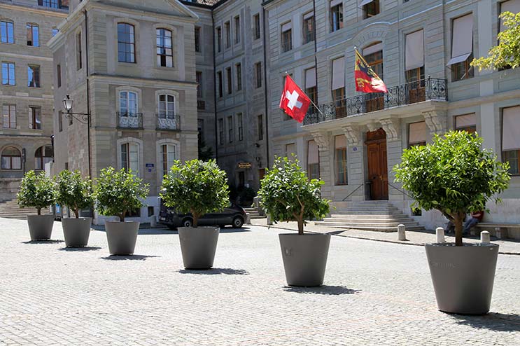 Fleurissement urbain à Genève Urbanature - Réalisation Girod Group
